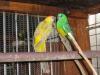 /album/red-ramps/tino-178-jpg1/